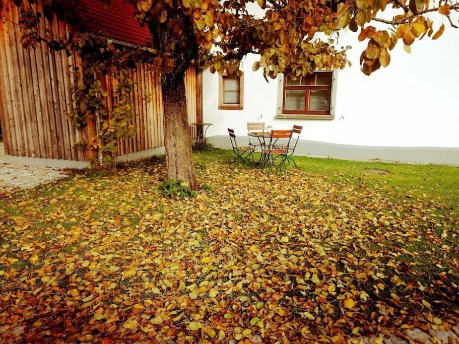 Ferienwohnung im Fachwerk mit Bergblick in Alleinlage Humberg Exterior foto
